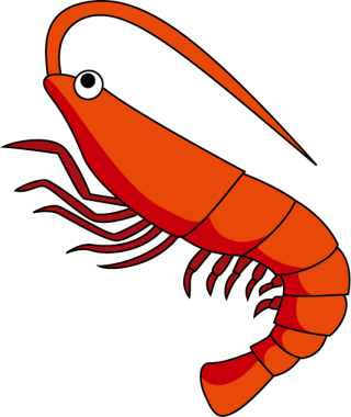 Shrimps Png Clipart PNG images