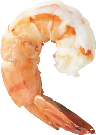 Shrimps Png Hd PNG images