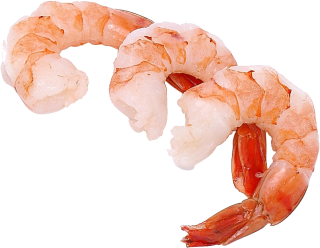 Images Free Download Png Shrimps PNG images