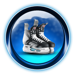 Download Free Png Vector Skates PNG images