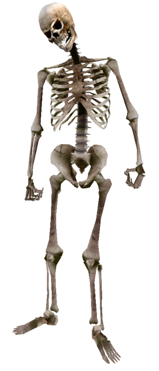 Beast Oblivion Skeleton Png PNG images