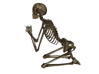 Skeleton Svg Free PNG images
