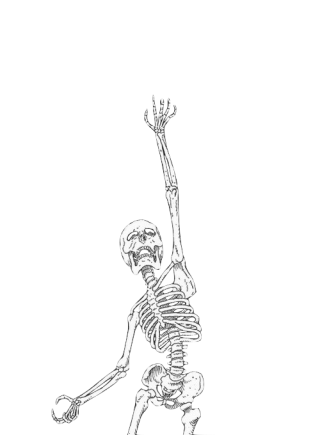 Png Save Skeleton PNG images