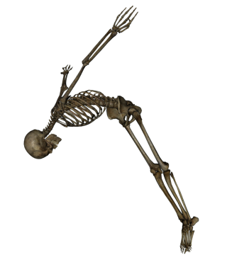 Skeleton Swan Dive PNG PNG images