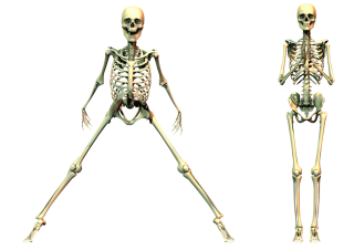 Spooky Skeleton Png PNG images