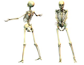 Spooky Skeleton Png PNG images