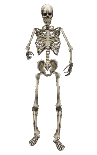 Skeleton MW Png PNG images