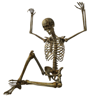 Skeleton PNG Image PNG images