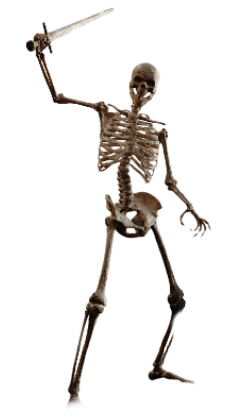 Skeleton Warrior Png PNG images
