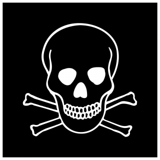 Background Png Transparent Skull And Crossbones PNG images