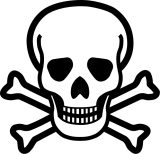 Skull And Crossbones png download - 512*512 - Free Transparent