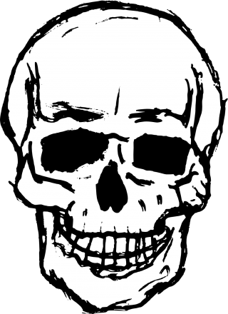  Funny Skull Images PNG images