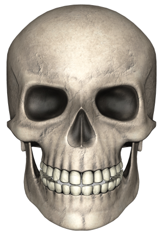  Gray Painted Skull Photo PNG images