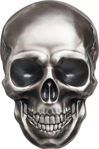 Best Gray Metal Skull Picture Images PNG images