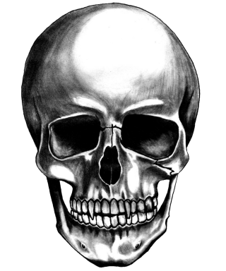 Made Of Metal Skull Photo PNG images