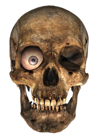 One Eye Skull Images PNG images