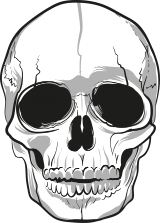 Strange Secretary Skull Image PNG images