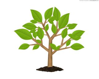 Free Svg Small Tree PNG images