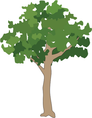 Icon Png Small Tree Download PNG images
