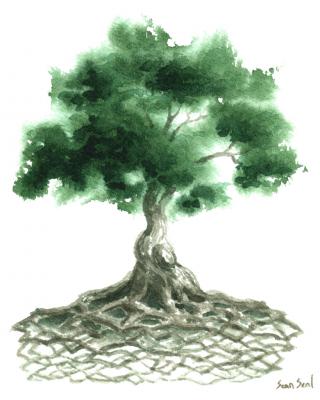 Symbols Small Tree PNG images