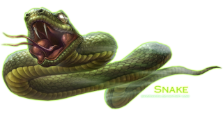 Snake Green Png PNG images