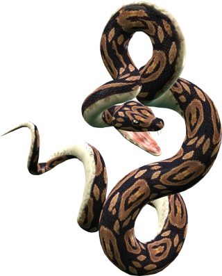 Cobra, 3d Snake, Snake 3d png transparente grátis