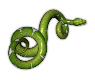 Snakes Png PNG images