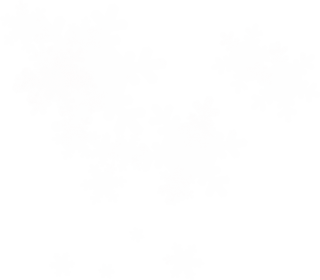 White Snowflake Png PNG images