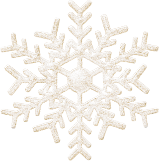 White Snowflake Png Pictures PNG images