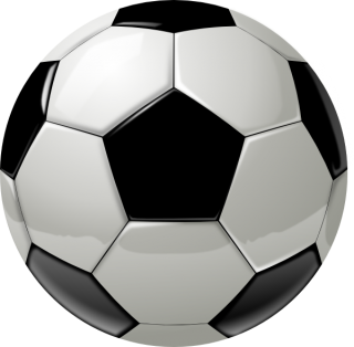 Soccer Ball png download - 495*896 - Free Transparent Sport png Download. -  CleanPNG / KissPNG