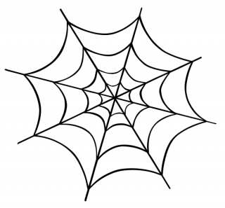 HD Spider Web PNG PNG images