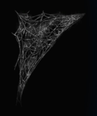Spider Web In Png PNG images