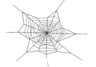 Png Clipart Spider Web Collection PNG images