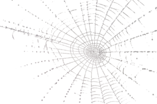 Spider Web Download Png Clipart PNG images