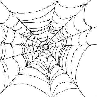 Download And Use Spider Web Png Clipart PNG images