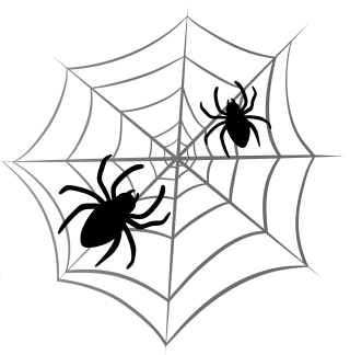 Best Spider Web Png Clipart PNG images