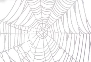 High-quality Spider Web Download Png PNG images