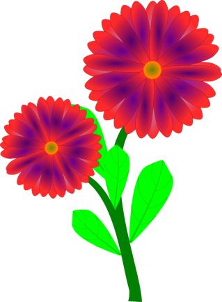 Flowers Spring Decor Png PNG images