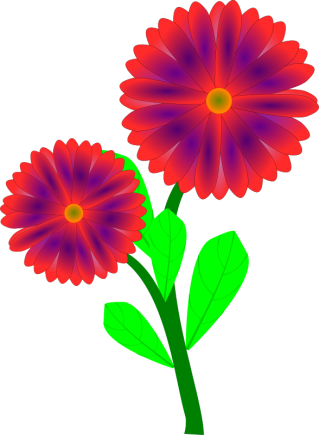 spring flower clipart png