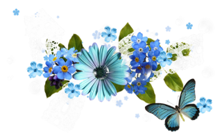 spring flower clipart png