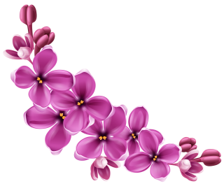 Purple Spring Flowers Queen Png PNG images