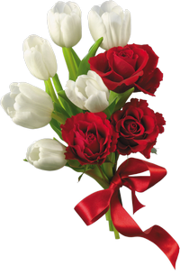 Red And White Spring Flowers PNG PNG images