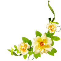 Spring, Flowers, Happiness, Floral Png PNG images