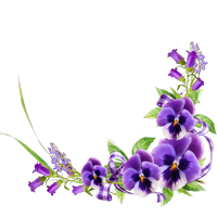 Spring, Flowers, Happiness Png PNG images