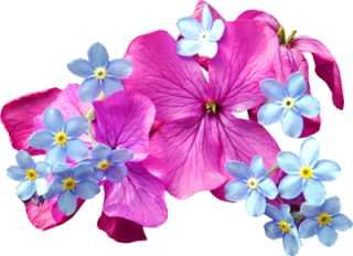Spring Flowers Purple Png PNG images