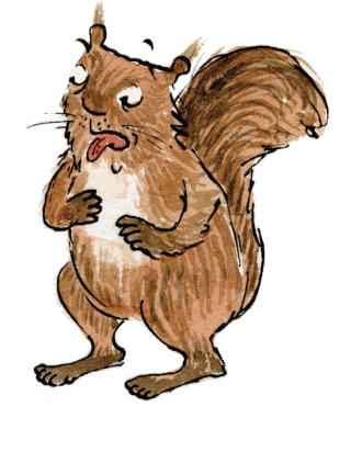Download And Use Squirrel Png Clipart PNG images