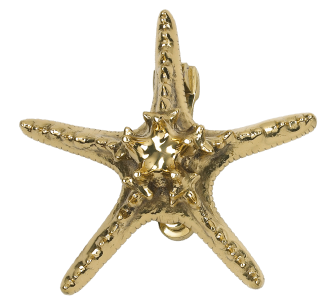Starfish PNG HD PNG images