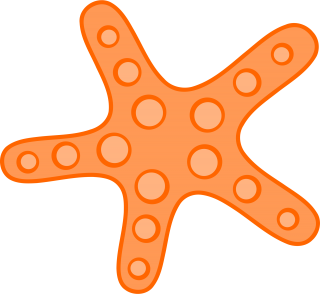 Free Download Starfish Png Images PNG images