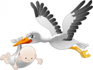 High Resolution Storch Png Clipart PNG images