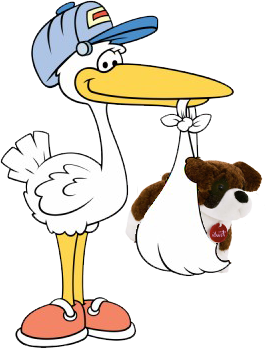 Transparent Image Storch PNG PNG images